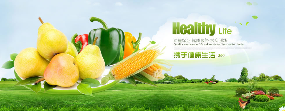 荆州历划照她岗有限公司